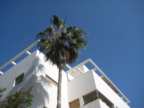 rachelsamoul's profile picture. writer and blogger in French