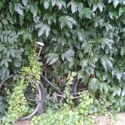 Clubbi81's profile picture. 