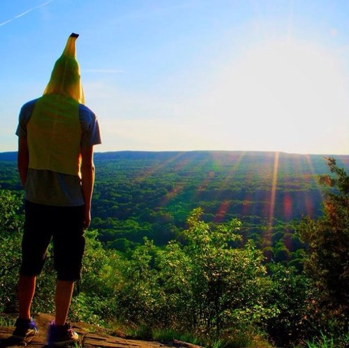 ltsBasedGod Profile Picture