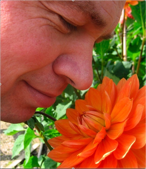 davidhenshall's profile picture. 