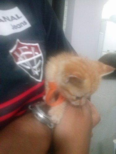 PatriqueAlmeida's profile picture. 