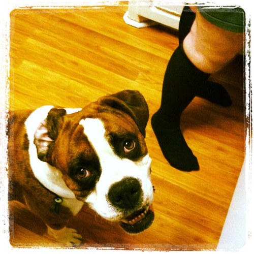 Coursaire88's profile picture. Hattiesburg, MS