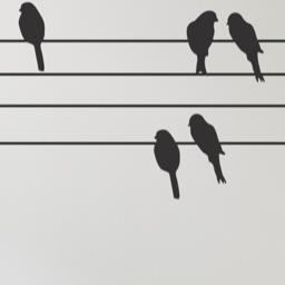 Working for a music label. Happy to sing with the other birds.