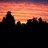 susanwilcox79's profile image