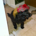 Andy Dodd - @doddster68 - Twitter