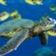 dyso68's profile picture. 