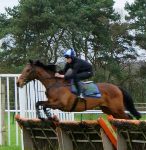 Amateur jockey to derek shaw