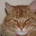 pam morris - @xxspicerxx - Twitter