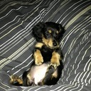 Lucy Corbin - @Lucycacorbin25 - Twitter