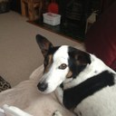 lyn white - @lynwhite4 - Twitter