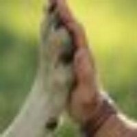 Maria Paz 💪🏻🌱 (@maripiamorr) 's Twitter Profile Photo Maria Paz 💪🏻🌱 (@maripiamorr) 's Twitter Profile Photo