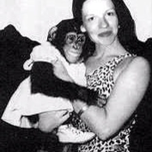 juleglennon's profile picture. 