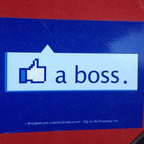 Toymn8r's profile picture. 