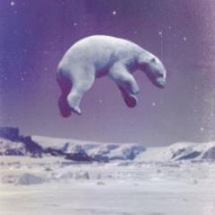 AloofSpecies Profile Picture