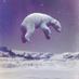 Aloof Species (@aloofspecies) Twitter profile photo
