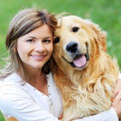 Import en export van dierenbenodigdheden. Het merk Papillon  Pet Products bv is tevens een kwalitatief merk dierenspeelgoed. http://t.co/yZ4tfSOImc