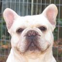 Tammy keeling fay - @Tammykeelingfay - Twitter