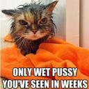 Britt Daisy - @BrittDaisy1 - Twitter