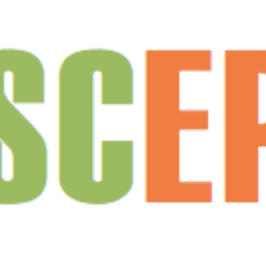 deSCEP's profile picture. Het bevorderen van persoonlijke Bewustwording door verdieping van Kennis & Kunde in iedere levensfase in de ruimste zin van het woord.