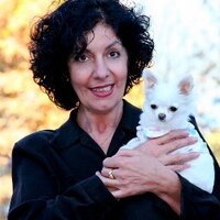 annamarie lanci (@bellamamas) 's Twitter Profile