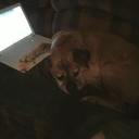 Debra Summers - @Summersd1958 - Twitter