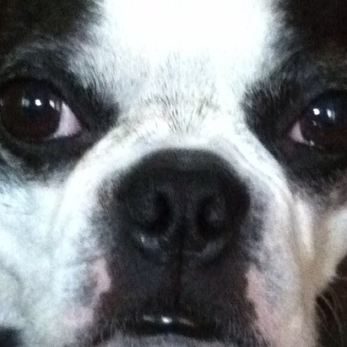 DedrickJeff Profile Picture