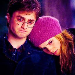 Harry Potter lives in my heart forever♥ #LongLiveHarryPotter Moonstonecat22435 NOTE: Twilight Hater!