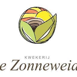 Kwekerij de Zonneweide // 12ha zomerbloemen // Alchemila - Symphonicarpus - Helianthus - Brassica - Kniphofia // Jaarlijks 40.000 aardbeien hangpotten