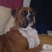 blondebaby (@schweetheart18) Twitter profile photo