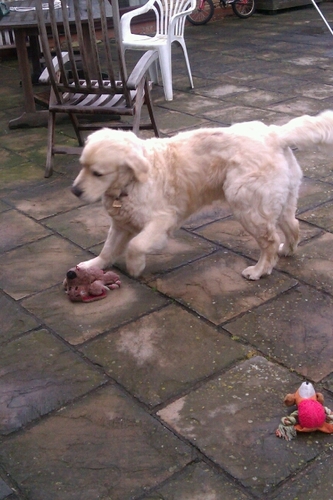 jane_ajlr's profile picture. 