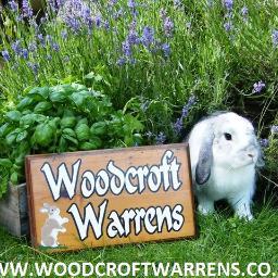 Woodcroft Warrens - a luxurious rabbit & guinea pig hotel based in the calm tranquillity of the Essex countryside.