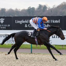 exceedNexcel's profile picture. 