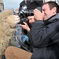 Kelvin Boyes (@kelvinboyes) 's Twitter Profile