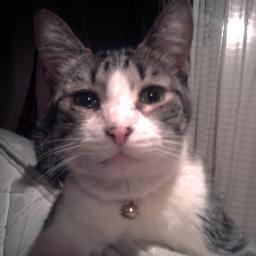 Okaasan40's profile picture. 