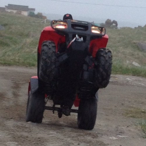 stockley19's profile picture. 