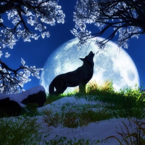 __KryLetsPlay__'s profile picture. Guy Gamer, Aquarius ♒, Sushi, Traveler, Camera, Converse, 9/10 Filipino 2/10 Spanish 1.1/10 Indian, I ❤ Wolves, My favorite color is green, Graduated from Uni!