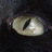 Annieseed's profile image