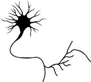 sohale's profile picture. computer science. neuroscience.