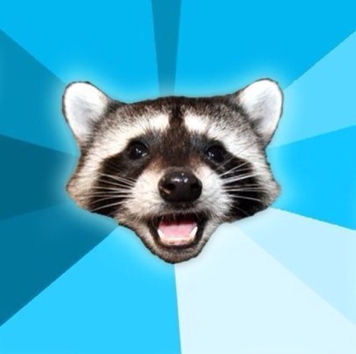 ThePunnyRaccoon's profile picture. 