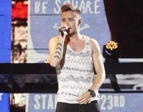 I LOVE ONE DIRECTION  LIAM PAYNE,HARRY STYLES,ZAYN MALIK,NIALL HORAN,LOUIS TOMLINSON