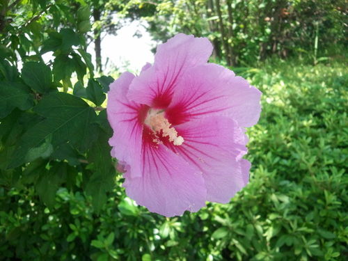 kim660512512's profile picture. 