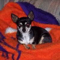 Lee (@three313) 's Twitter Profile