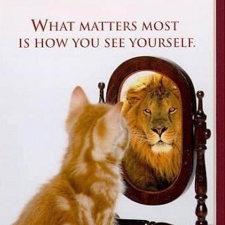 ObjectingDragon's profile picture. Quotes that reach you