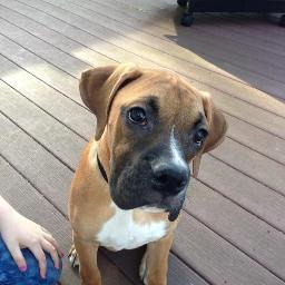 fltwinmom's profile picture. 