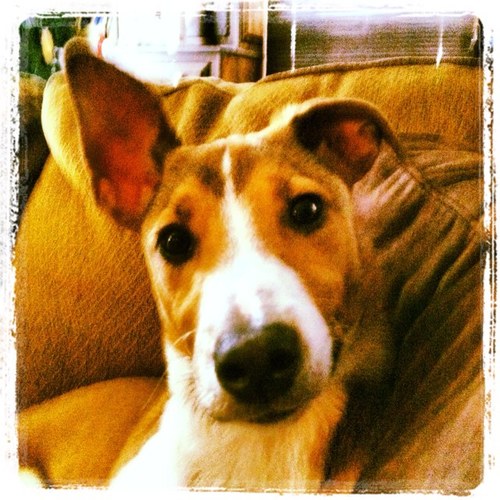 lafinny's profile picture. 