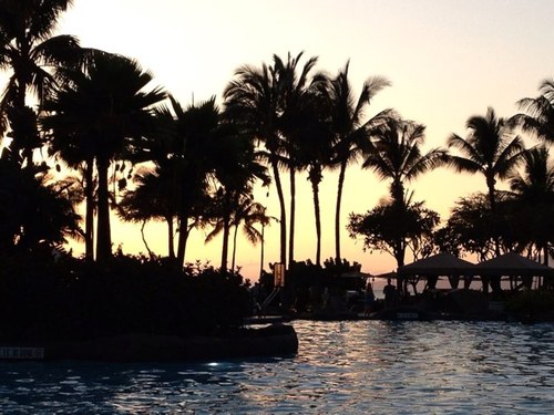 barrowcliffmom's profile picture. 