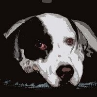 Timothy Devinney (戴天銘) 🇦🇺🇺🇸🇬🇧 (@timothydevinney) 's Twitter Profile Photo Timothy Devinney (戴天銘) 🇦🇺🇺🇸🇬🇧 (@timothydevinney) 's Twitter Profile Photo
