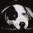 TimothyDevinney's profile image