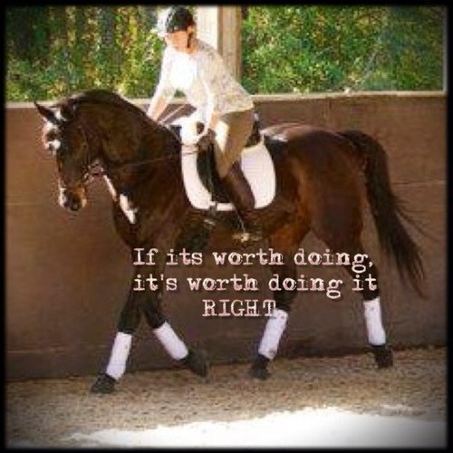 eventerynne's profile picture. 