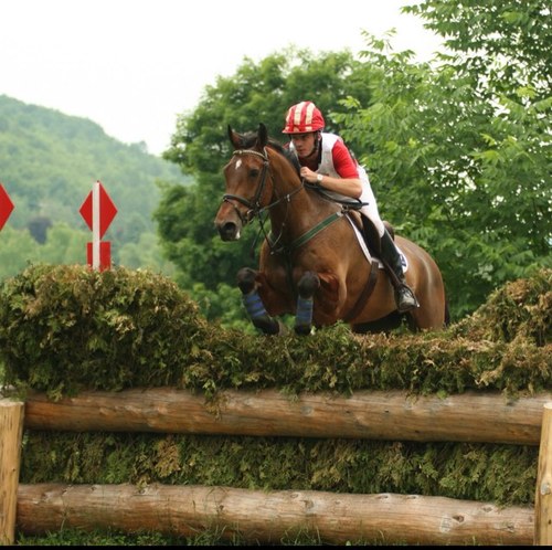 QueenEventer's profile picture. Take a walk on the wild side. #eventinglife